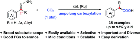 Publications C J Li Lab